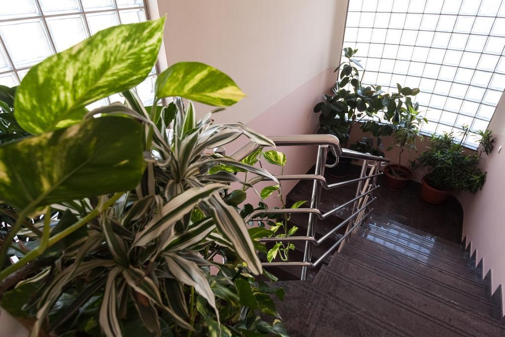Apartment Apartment Iva